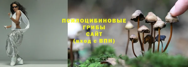 меф Белокуриха