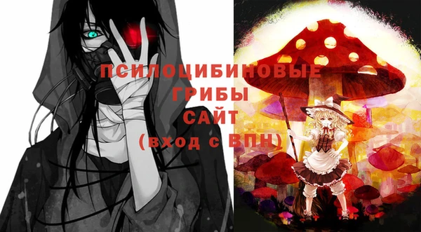 меф Белокуриха